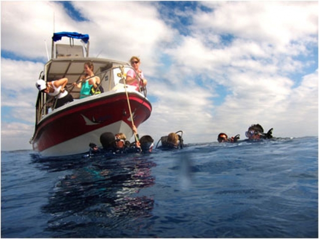  Snorkeling à Vallarta 